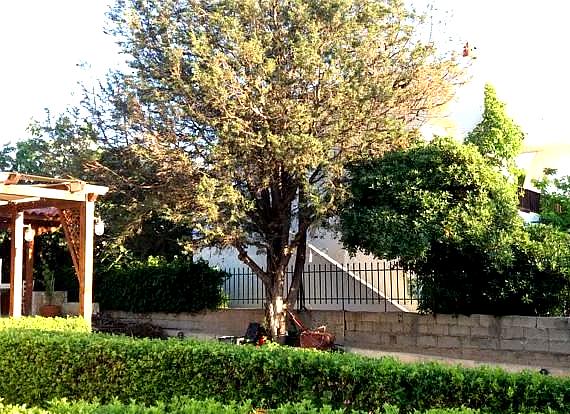 Anavyssos Cottage